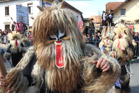 PUSTNI KARNEVAL PUSTOLETJE 35 FOTO LJUBO VUKELIČ